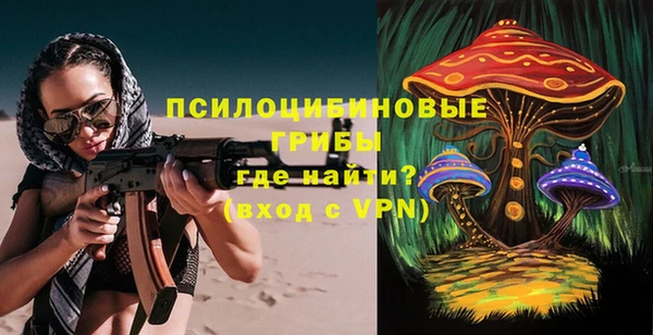 ешки Балахна