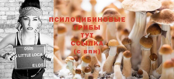 ешки Балахна