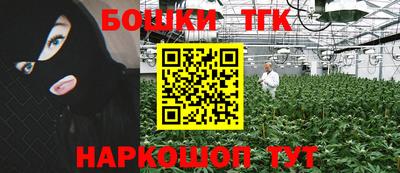 mdpv Новодвинск