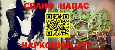 ECSTASY Новокубанск