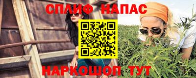 ECSTASY Новокубанск