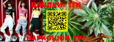 mdpv Новодвинск