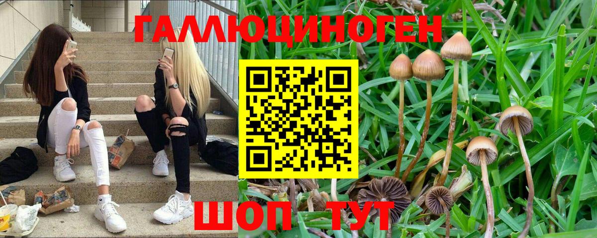 Галлюциногенные грибы мухоморы  Галлюциногенные грибы мицелий  Вход с VPN  Усть-Джегута 